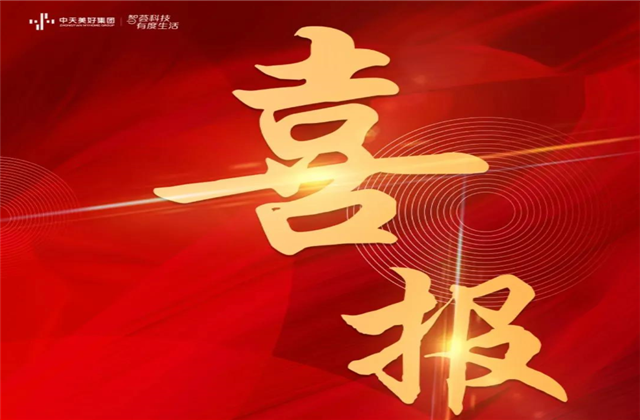 中天美好集團蟬聯“2021長三角城市群房地產公司品牌價值TOP10”