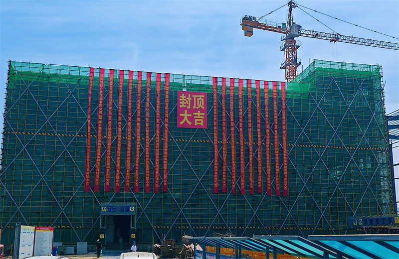 2025年5月20日，江蘇公司承建的康乃馨高端織造和智能裝備制造一期項目主體結(jié)構(gòu)順利封頂。
